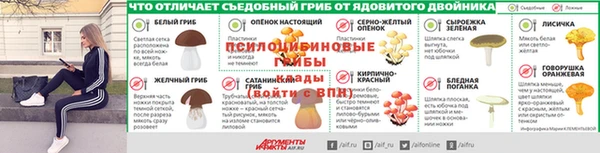ПСИЛОЦИБИНОВЫЕ ГРИБЫ Покровск