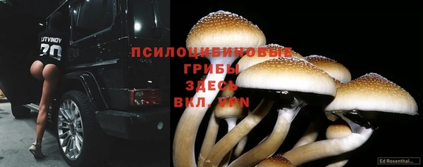 мдпв Покачи