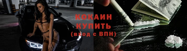 ПСИЛОЦИБИНОВЫЕ ГРИБЫ Покровск