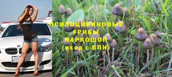 бошки Гвардейск