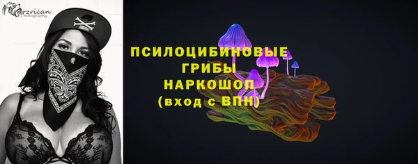 ПСИЛОЦИБИНОВЫЕ ГРИБЫ Покровск