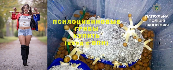 шишки Приозерск