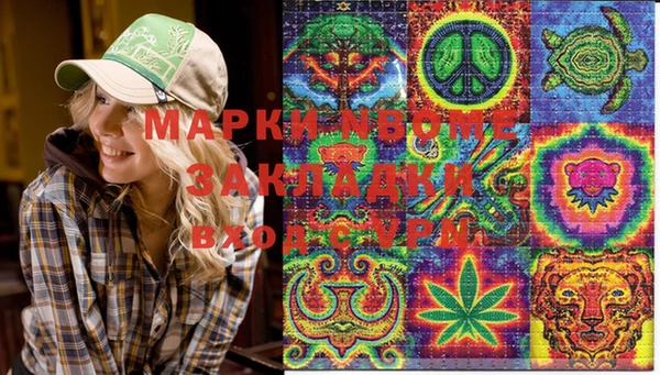 шишки Пролетарск