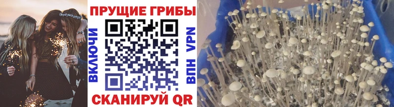 Галлюциногенные грибы ЛСД  закладки  Пугачёв 